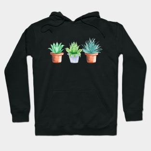 Watercolor Potted Green Succulents Hoodie